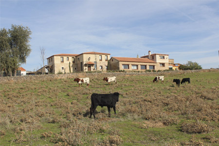 Imagen de los exteriores del Hotel Rural Faenas Camperas. Foto 6