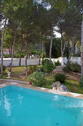 Imagen de la piscina del Hotel Rural Finca Los Pinos. Foto 16