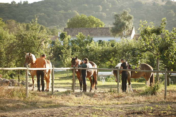 Imagen general del Hotel Rural Herdade Da Matinha Country House and Restaurant. Foto 4