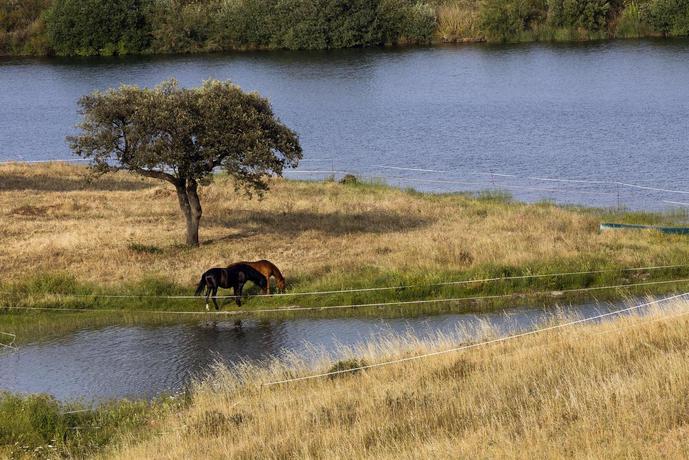 Imagen general del Hotel Rural Herdade Naveterra Lodge and Spa. Foto 18