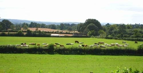 Imagen de los interiores del Hotel Rural Kilbawn Country House. Foto 12