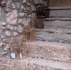 Imagen general del Hotel Rural LA CASONA DE SUESA. Foto 10