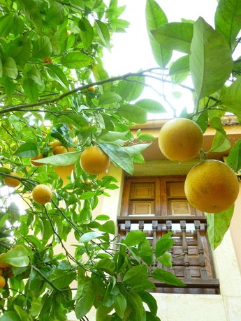 Imagen de los exteriores del Hotel Rural La Balconada. Foto 7