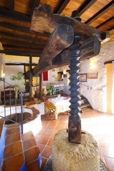 Imagen general del Hotel Rural La Fructuosa. Foto 11