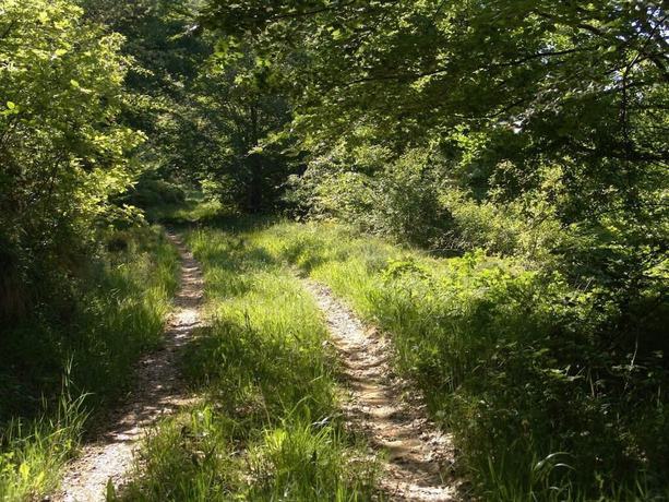 Imagen de los exteriores del Hotel Rural La Gándara. Foto 16