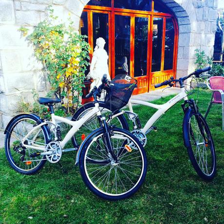 Imagen general del Hotel Rural La Vi&ntilde;a. Foto 9