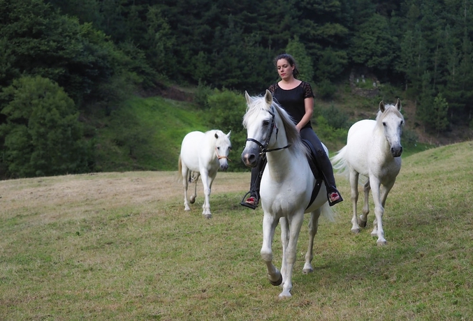 Imagen general del Hotel Rural Las Montañas de Pumar. Foto 3