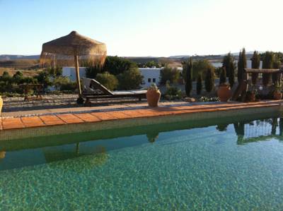 Imagen de la piscina del Hotel Rural Logis Cortijo Los Malenos. Foto 7