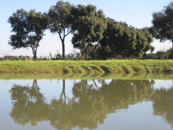 Imagen general del Hotel Rural Los Enebrales Resort & Spa. Foto 8