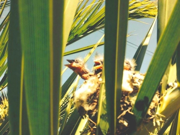 Imagen de la habitación del Hotel Rural Lousal. Foto 5
