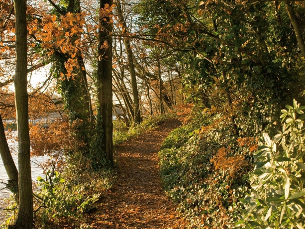 Imagen de los exteriores del Hotel Rural Macdonald Kilhey Court. Foto 13