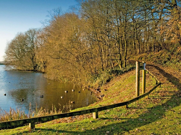 Imagen de los exteriores del Hotel Rural Macdonald Kilhey Court. Foto 14