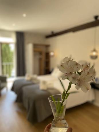 Imagen de la habitación del Hotel Rural Monasterio de Tejeda. Foto 6