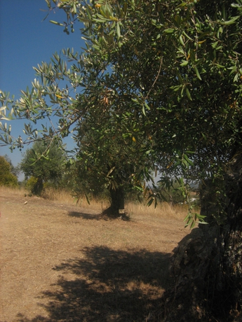 Imagen de los exteriores del Hotel Rural Monte Dos Apostolos. Foto 7