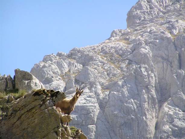 Imagen general del Hotel Rural Picos de Europa. Foto 2