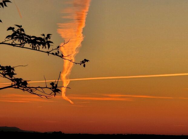 Imagen general del Hotel Rural Portilla de Monfragüe. Foto 4