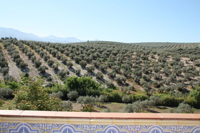 Imagen de la habitación del Hotel Rural Posada Del Cordobés. Foto 10