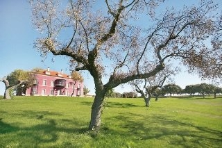Imagen general del Hotel Rural Posada Real Palacio Carrascalino. Foto 3