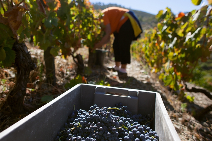 Imagen general del Hotel Rural Quinta Do Silval. Foto 7