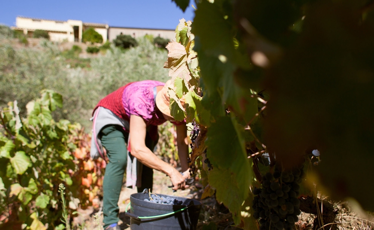 Imagen general del Hotel Rural Quinta Do Silval. Foto 9