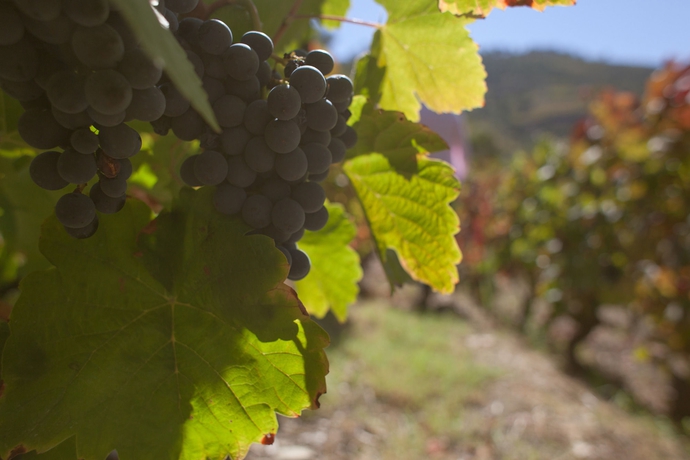 Imagen general del Hotel Rural Quinta Do Silval. Foto 10