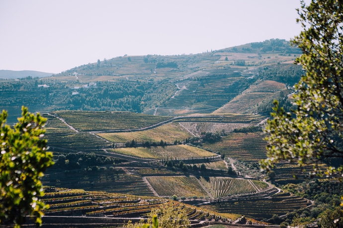 Imagen general del Hotel Rural Quinta Do Silval. Foto 3