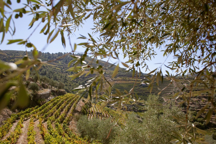 Imagen general del Hotel Rural Quinta Do Silval. Foto 12