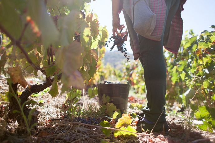 Imagen general del Hotel Rural Quinta Do Silval. Foto 13