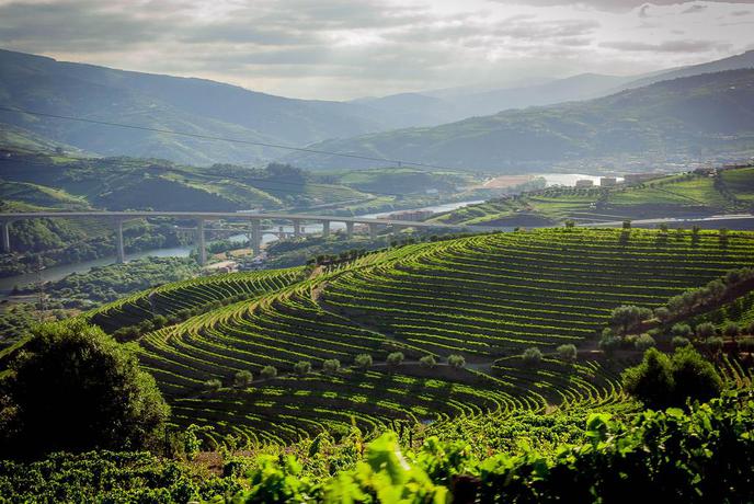 Imagen general del Hotel Rural Quinta Do Vallado. Foto 16