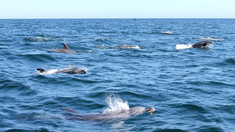 Imagen de los exteriores del Hotel Rural Quinta Dos Poetas Nature and Apartments. Foto 9