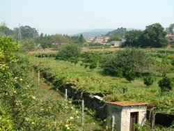 Imagen general del Hotel Rural Quinta do Vale do Monte. Foto 4