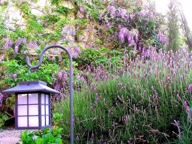 Imagen general del Hotel Rural Rural San Miguel. Foto 4