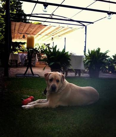 Imagen general del Hotel Rural Sa Pedrissa. Foto 4