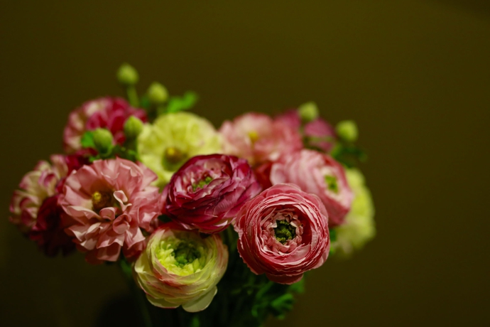 Imagen de los interiores del Hotel Rural Solar Dos Cáceres. Foto 15