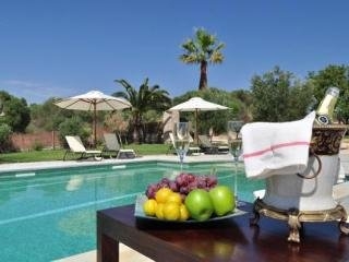 Imagen general del Hotel Rural Son Burgues. Foto 8