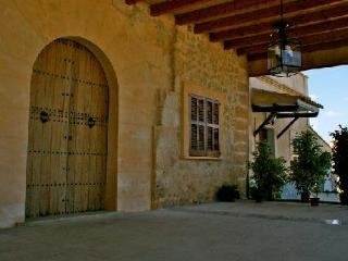 Imagen general del Hotel Rural Son Burgues. Foto 13