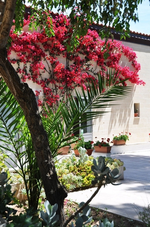 Imagen de los exteriores del Hotel Rural Tenuta Del Barco. Foto 8