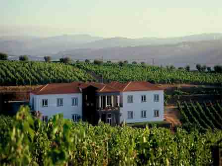 Imagen general del Hotel Rural The Manor House Celeiros. Foto 2