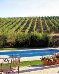 Imagen general del Hotel Rural The Manor House Celeiros. Foto 3