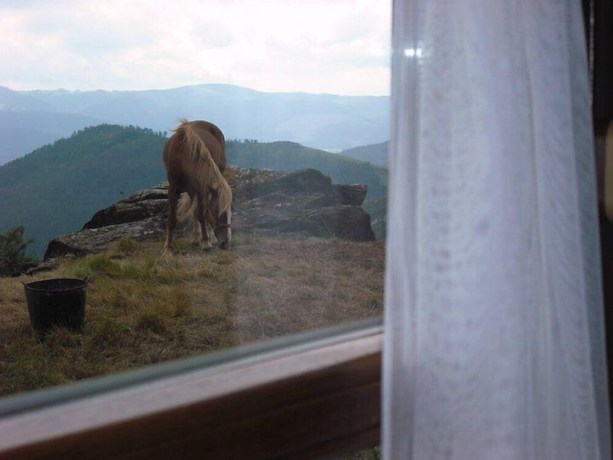 Imagen de la habitación del Hotel Rural Yeguada Albeitar. Foto 12