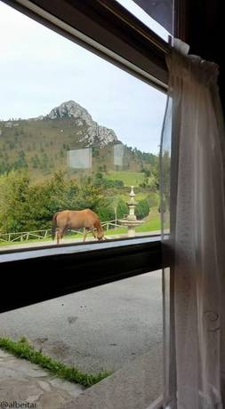 Imagen de la habitación del Hotel Rural Yeguada Albeitar. Foto 13