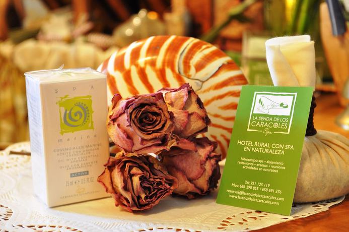 Imagen de la piscina del Hotel Rural y SPA La Senda de los Caracoles. Foto 18