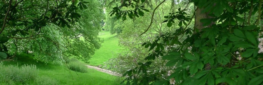 Imagen de los exteriores del Hotel Rushton Hall and Spa. Foto 14