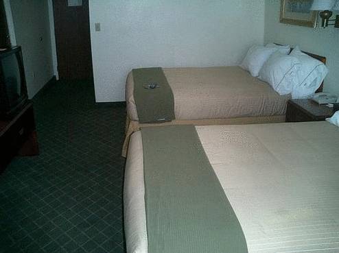 Imagen de la habitación del Hotel Ruskin Inn. Foto 8