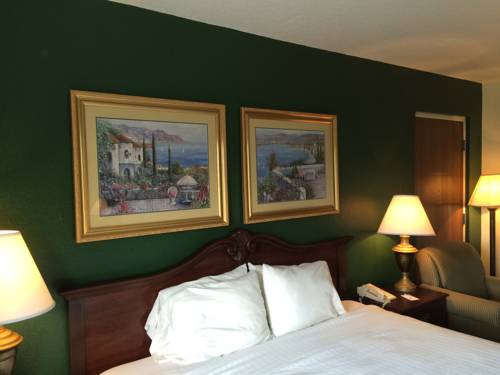 Imagen de la habitación del Hotel Ruskin Inn. Foto 14