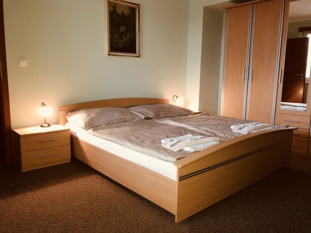 Imagen de la habitación del Hotel Rusovský Penzión. Foto 35