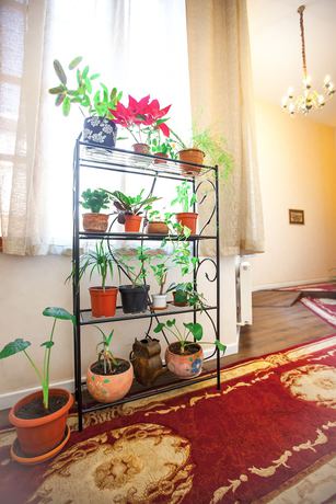 Imagen de los interiores del Hotel Rustaveli. Foto 16