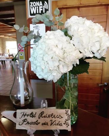 Imagen general del Hotel Rustico Prado Da Viña. Foto 11