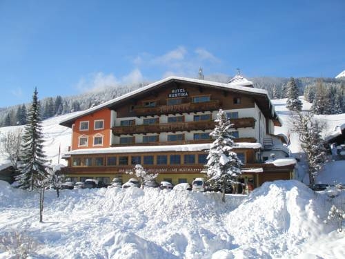 Imagen general del Hotel Rustika. Foto 3