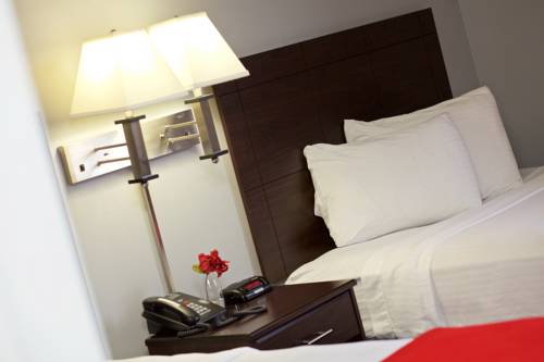 Imagen de la habitación del Hotel Rutgers University Inn And Conference Center, East Brunswick. Foto 4
